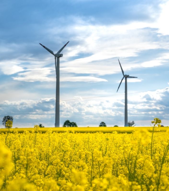 POLÍTICA MEDIOAMBIENTAL