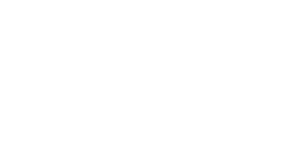 Logo de Bull